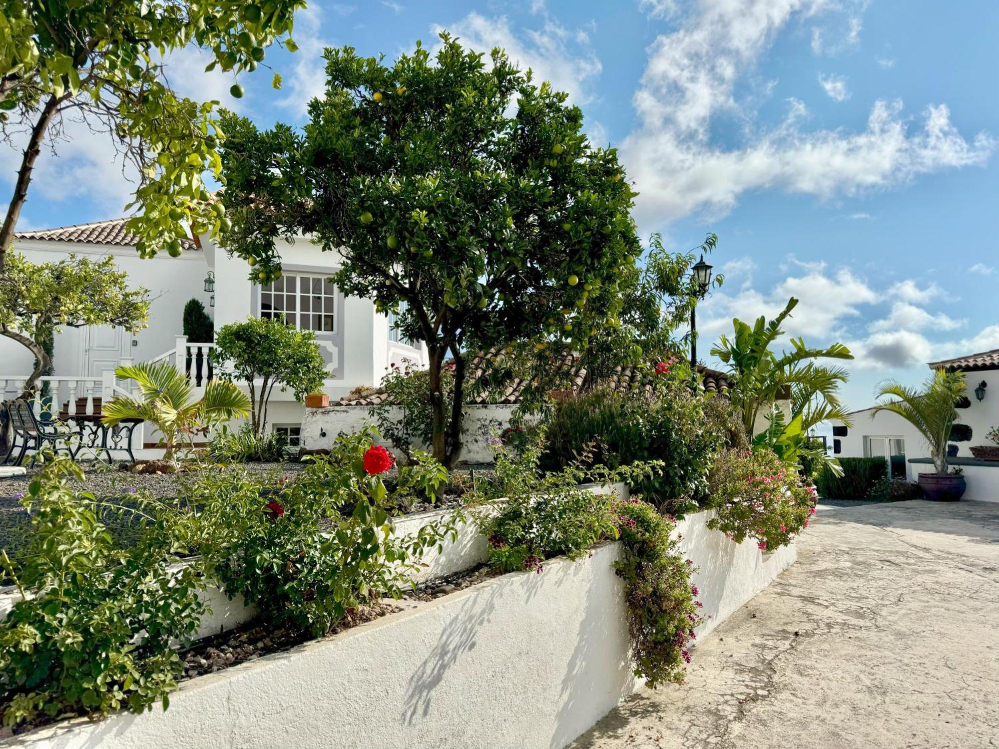 Loft Los Laureles El Paso Zewnętrze zdjęcie